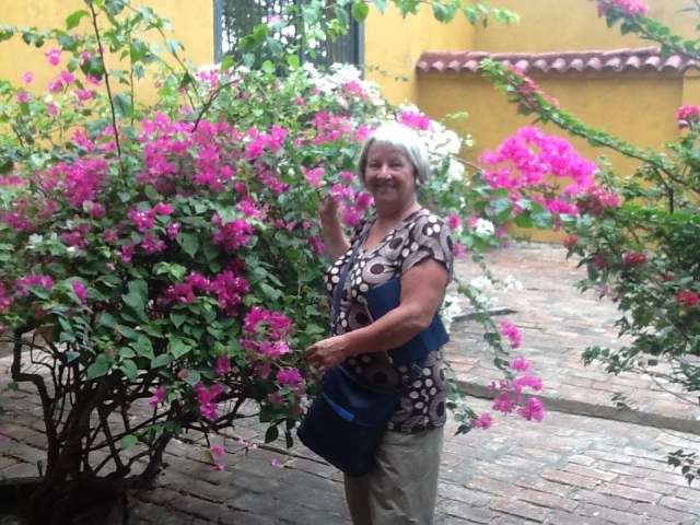 Flowers at Simon bolivar Mueseum