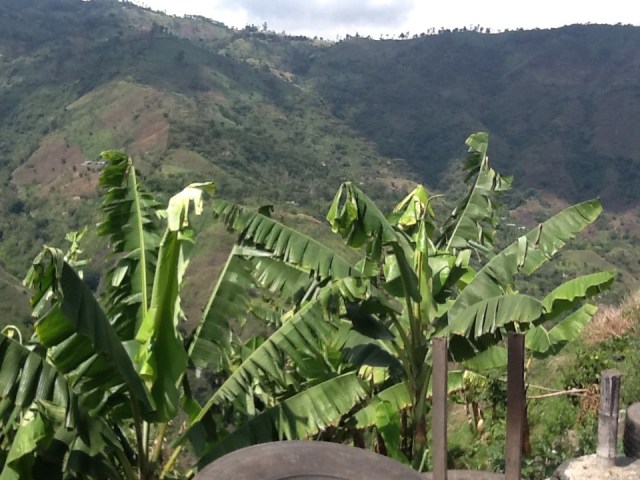 Hilly....but you can't see the roads