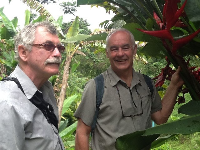 The Birds of Paradise