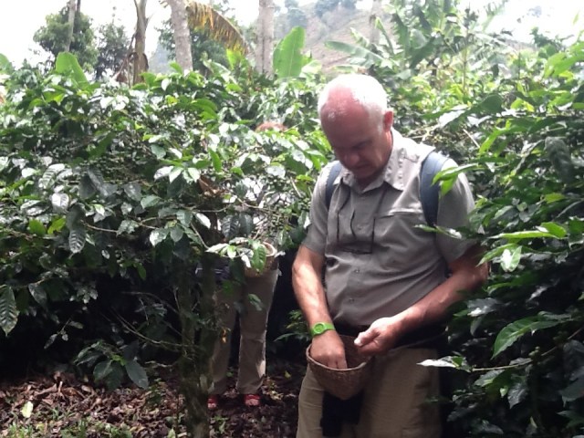 Yves counting his beans