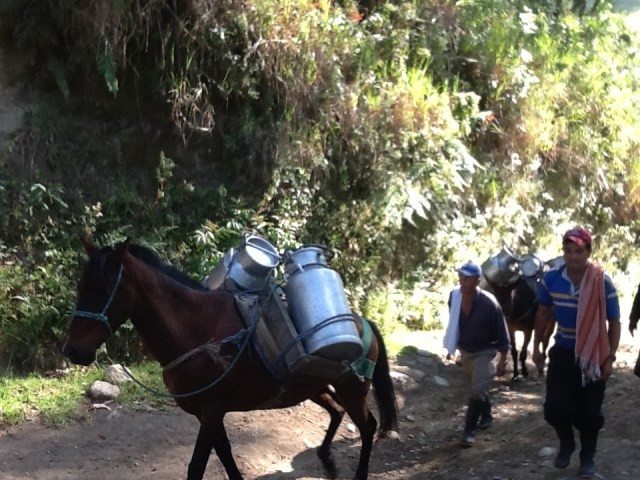 Meeting new friends along the way