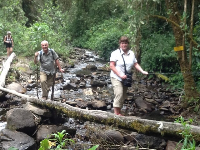 ....and another bridge!