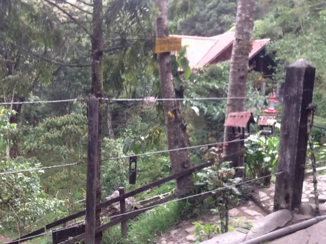 Hummingbird territory.....one of them nearly knocked my cap off my head