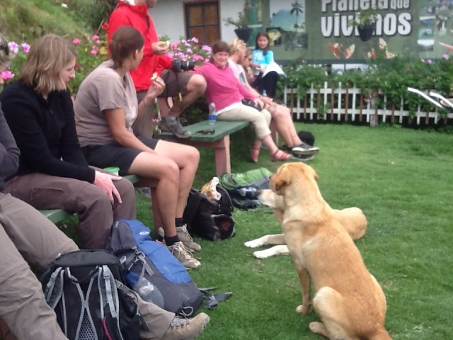 Our cheering Squad at the top waiting to greet us