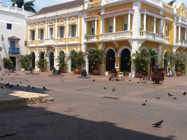 Siesta in ColOmbia is from 12-2pm so today we just see the pigeons
