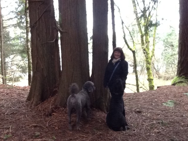 Dawn, Shaq and Gaston