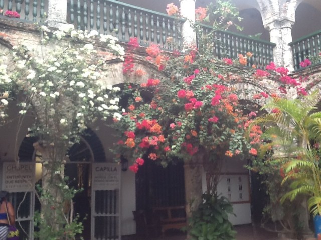 The flowers are unbelievable.......