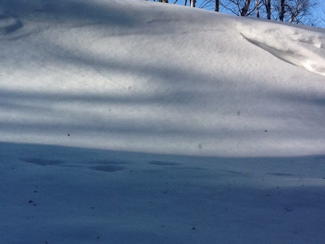 The view from the downstairs bedroom!!!!!!!