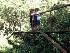 Madonna and Marilyn crossing bridge