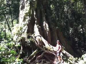 What an amazing old geezer.......the tree, not Jim!