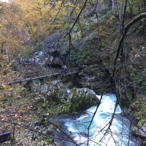 Vintgar gorge