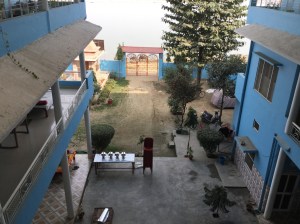 View from The Yoga House -can you see the buffalo?