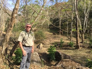 Notice the baby elephant we saw in the park